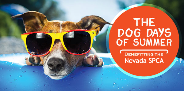 NSCPA Dog Days Banner